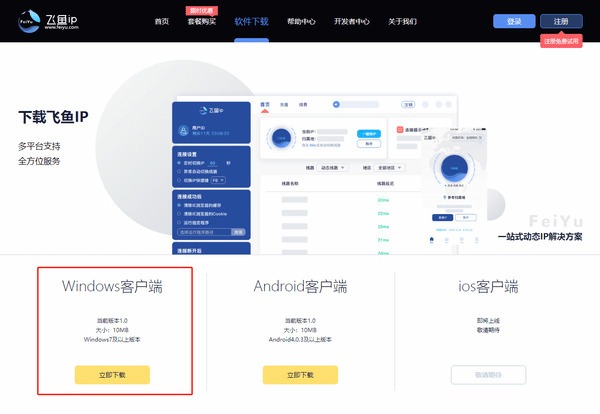 飞鱼IP客户端下载